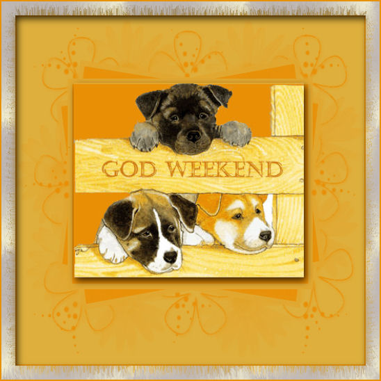 HundeGodWeek.jpg