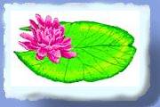 blomster_div_217.gif
