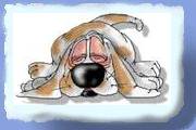 brun_hund.gif