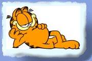 garfield050.gif
