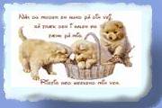 godweekendmhundehvalped.gif