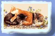 katte01.gif