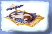 katte07.gif