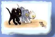 katte07_juli05_(1)_small.gif